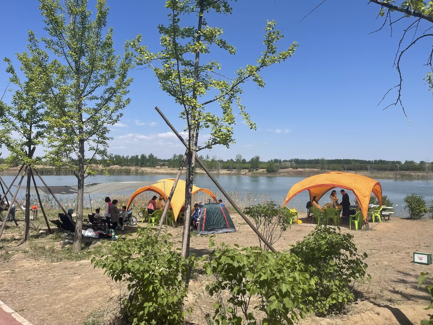 �׽�Τ�¹ٷ���վ�˰�������¶Ӫ�������Ļ