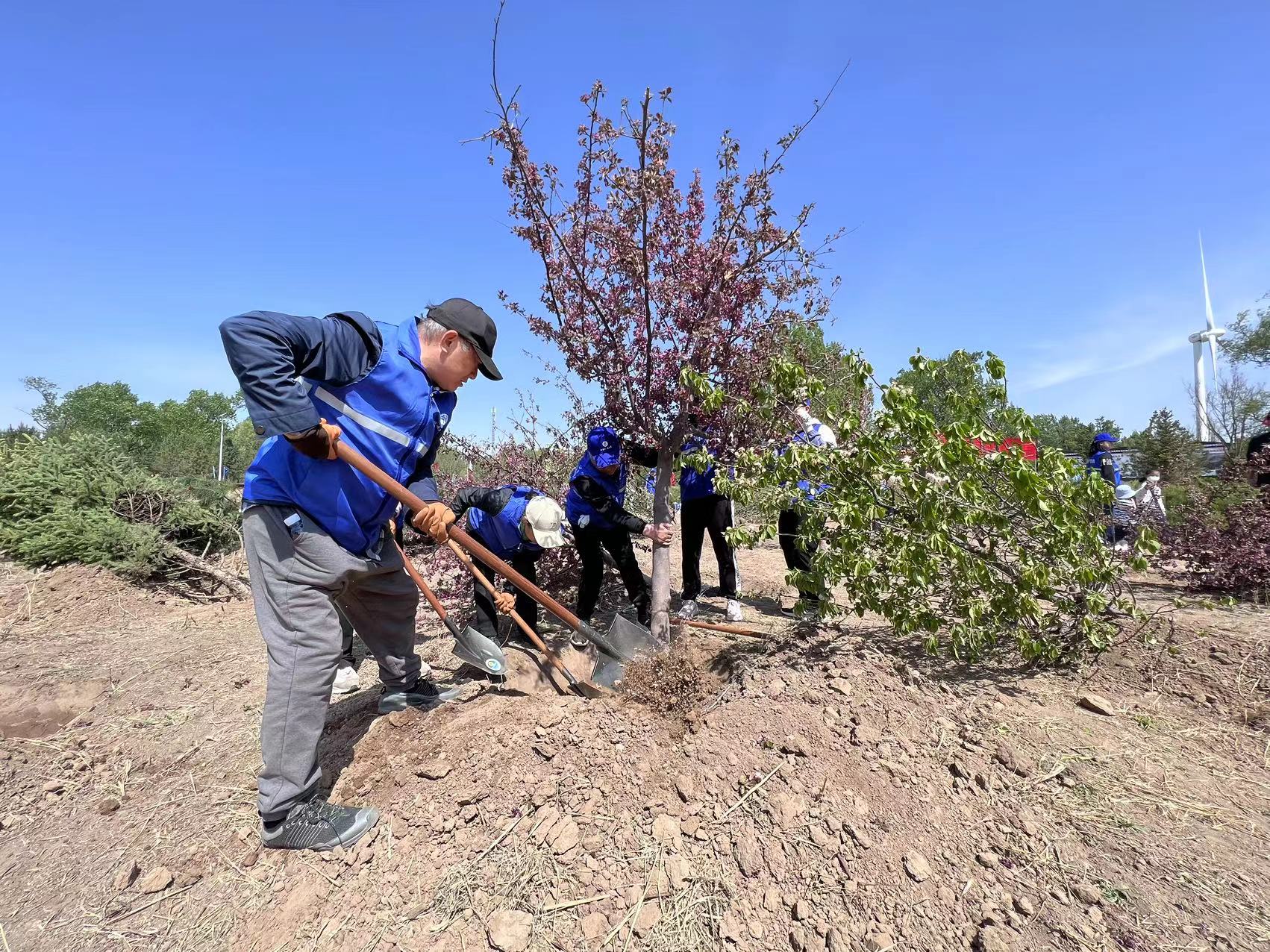 ����������ĸ�׺� �����׶�ˮԴ�ء�ʹ��ֲ����ڻ�������ˮ�����ʪ�ع�԰����