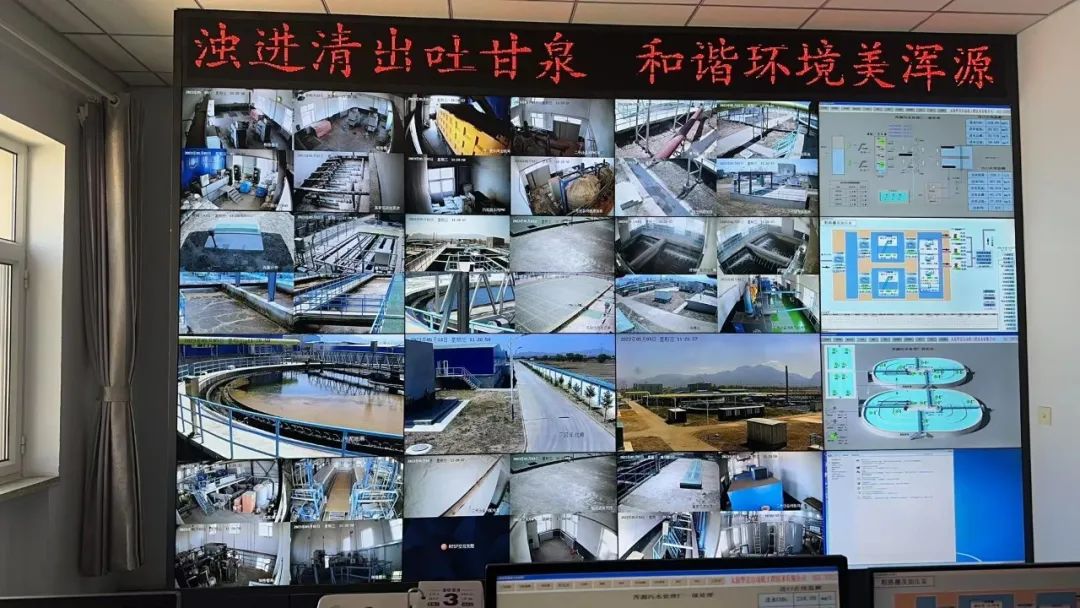 缜密结合韦德官方网站综合治理与生态建复中心工作推动主题教育不休走深走实