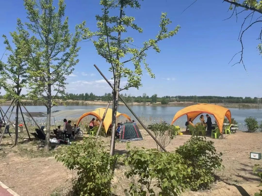 缜密结合韦德官方网站综合治理与生态建复中心工作推动主题教育不休走深走实