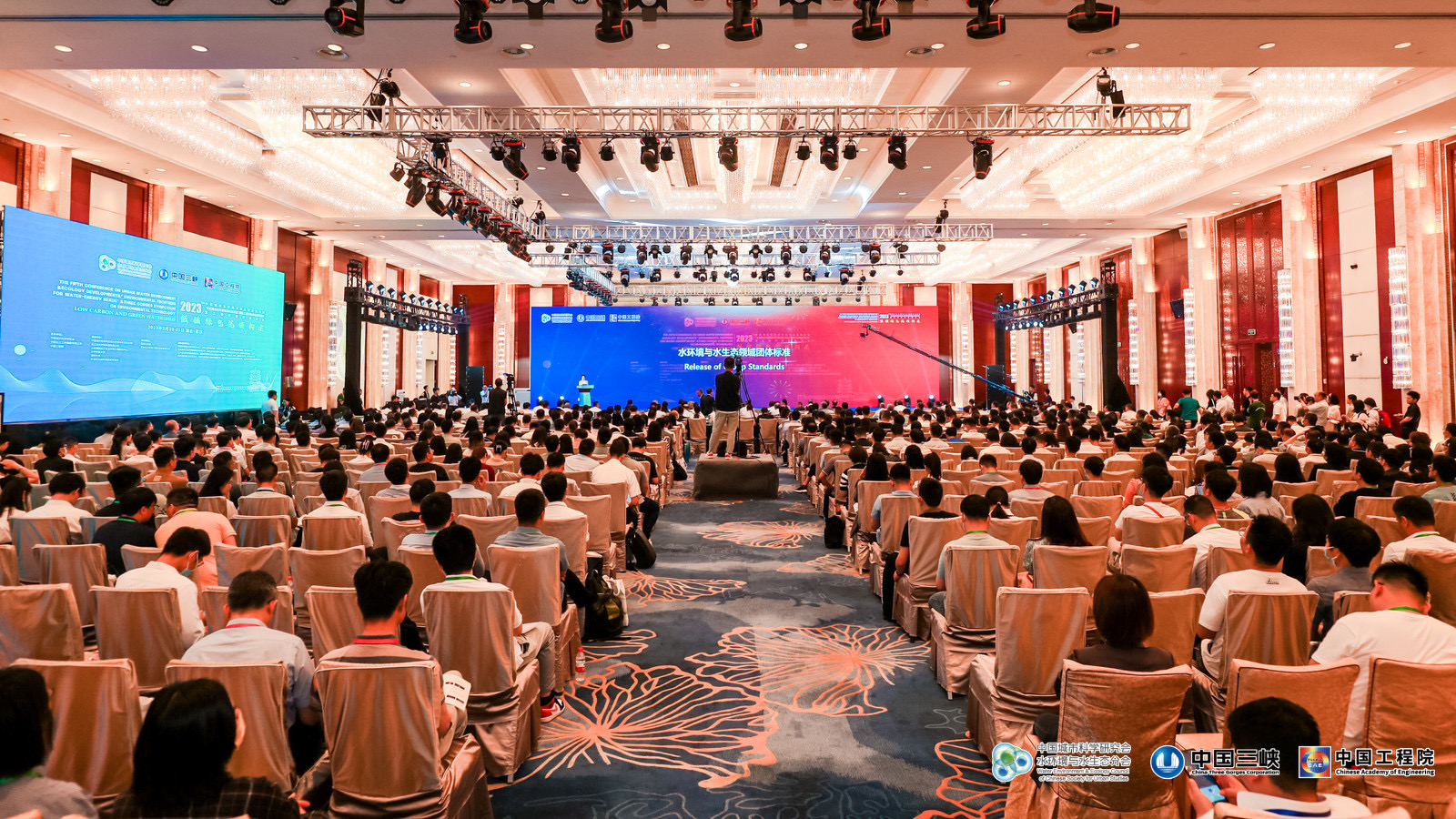 �۽���ɫ��̼ չʾ�������塪�������������°�����ģʽ��̳�ɹ�����