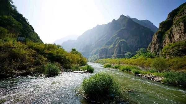 �׽�Τ�¹ٷ���վ��̳֮Ͷ���ʷ���̳