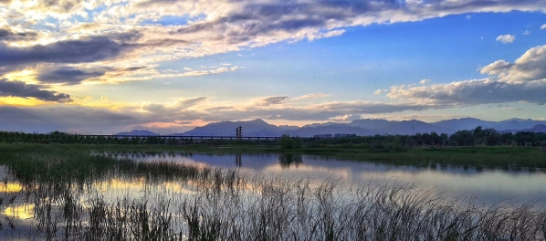 ˮ������������ƽ�鳭Τ�¹ٷ���վ��Ѵ����ȡΤ�¹ٷ���վ˾�����㱨