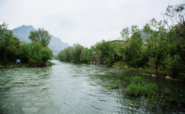 ��˾��������Τ�¹ٷ���վɽϿ���ۺ���������̬��������