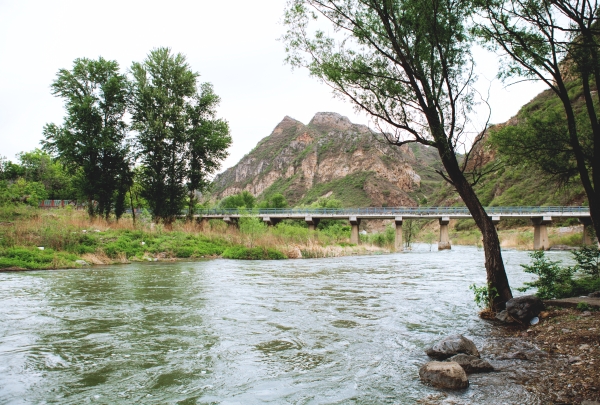 ��˾��������Τ�¹ٷ���վɽϿ���ۺ���������̬��������