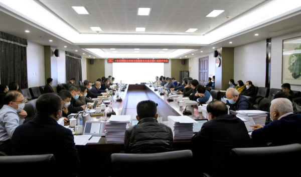 韦德官方网站投资公司召开《韦德官方网站综合治理与生态建复执行规划》结题评审会