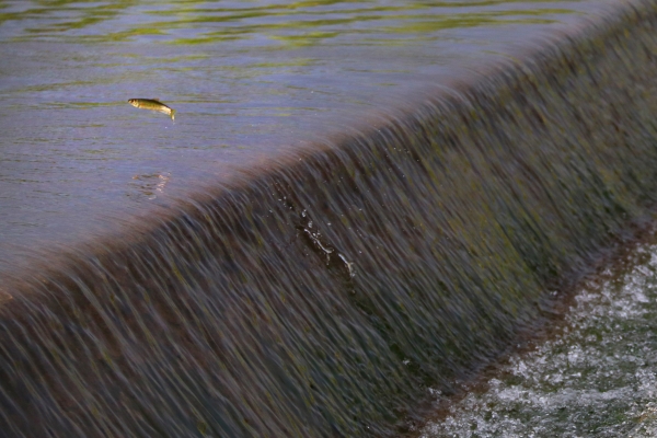 ����������Τ�¹ٷ���վ��Ϊ��ֲ������԰