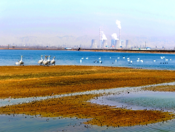 ����������Τ�¹ٷ���վ��Ϊ��ֲ������԰