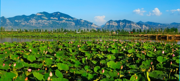 ����������Τ�¹ٷ���վ��Ϊ��ֲ������԰