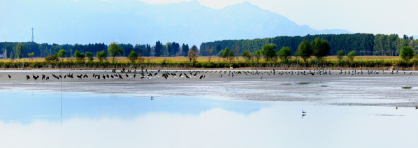 ����������Τ�¹ٷ���վ��Ϊ��ֲ������԰