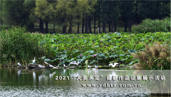 ���������������� 2021һ·���֡�����������