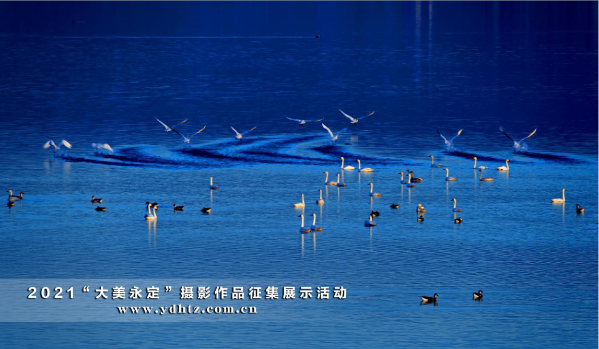 ���������������� 2021һ·���֡�����������