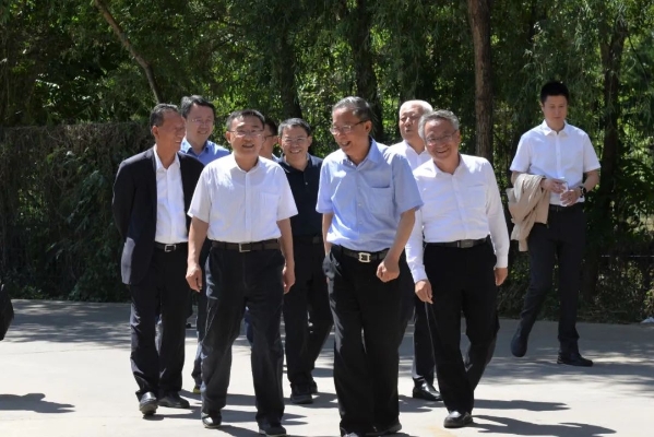 �����и��г�¬ӳ������˾����