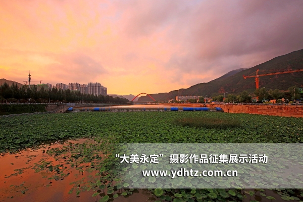 ������������վ�����Ͽ��Ӿ�