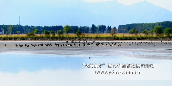 ��������������̬��������������԰