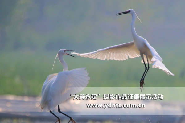 ��������������̬��������������԰