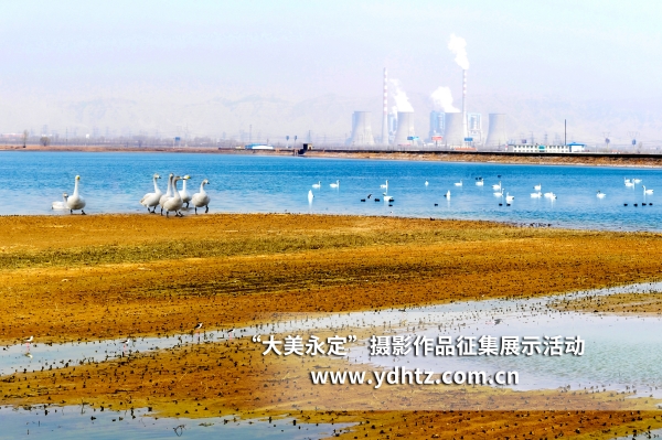 ��������������̬��������������԰