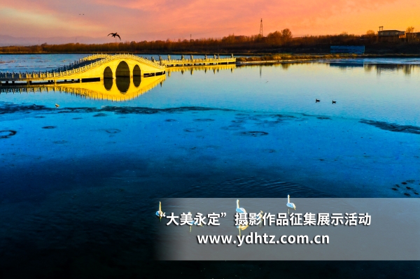 ��������������̬��������������԰