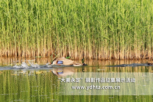 ��������������̬��������������԰