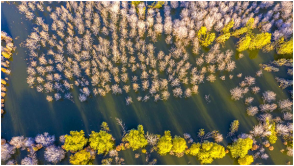 ������ˮ���� Τ�¹ٷ���վȫ��������ͨˮ���롰�ٷ�ʱ�̡�