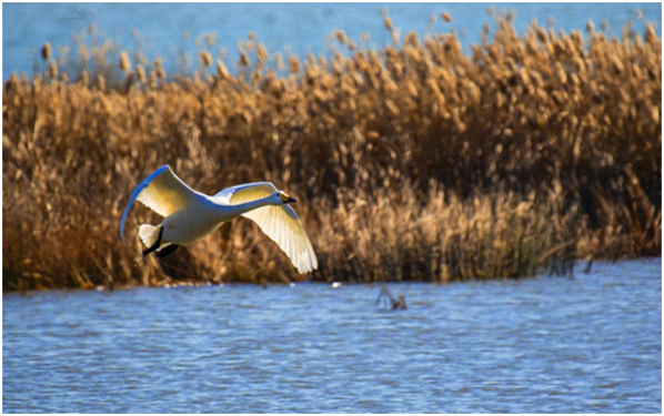 ������ˮ���� Τ�¹ٷ���վȫ��������ͨˮ���롰�ٷ�ʱ�̡�