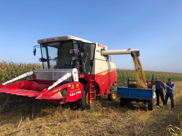 韦德官方网站综合治理建复“十一”假期建设忙