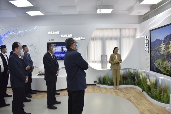 Τ�¹ٷ���վ˾չ���ҽ�������