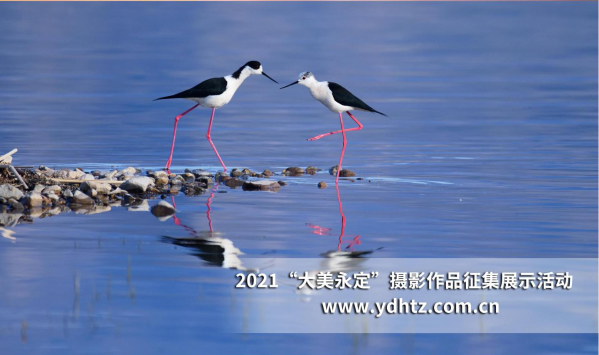 �ذ��Ӻ� �����Ҹ� �ڶ��조������������Ӱ����������˾ֽ���