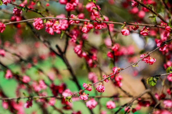 2022�ꡰ�ذ��ӵ� ����Τ�¹ٷ���վ����ھ�����