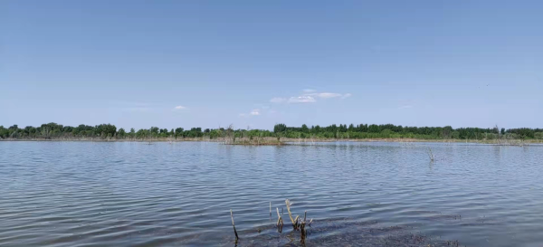 ��������̬��ˮ���� Τ�¹ٷ���վ5����ӭȫ��ͨˮ