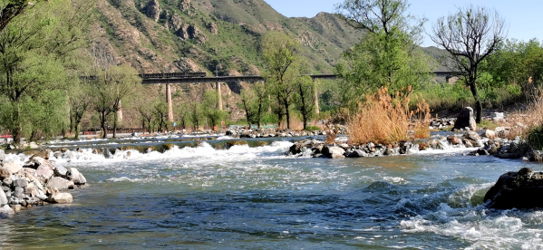 ��������̬��ˮ���� Τ�¹ٷ���վ5����ӭȫ��ͨˮ