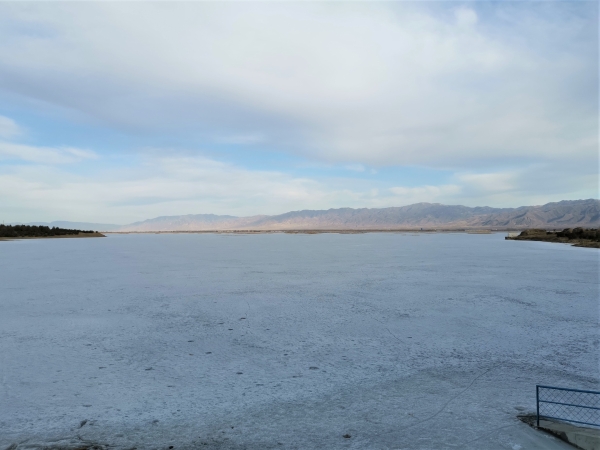 镇子梁水库2022年春季灌溉进行时