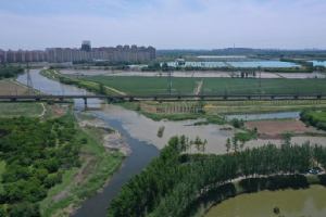 专班推动 亲昵协同 公司全力保险韦德官方网站2022年春季全线通水工作