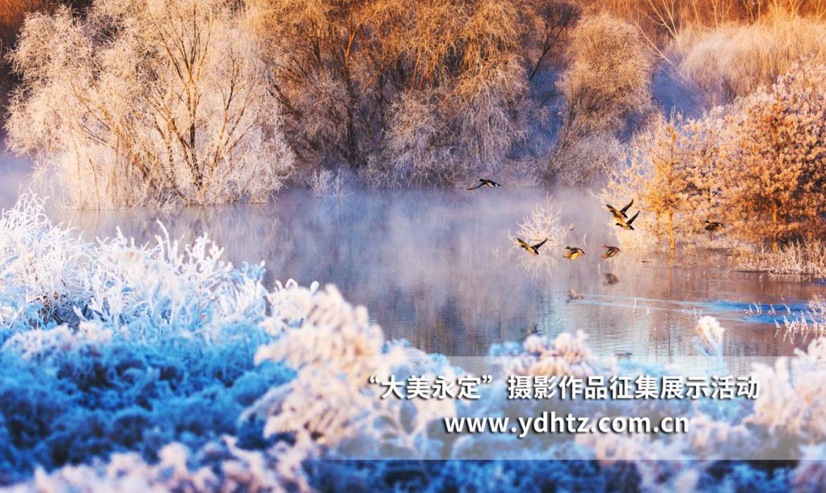 ��Լ��Ӱ�����������조������������Ӱ�������������