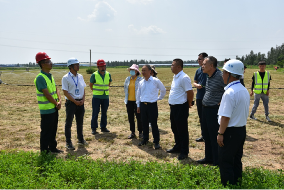 公司重要辅导拜会朔州市委副书记、市长吴秀玲并调研在朔单元