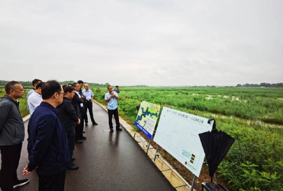 公司召开第二届董事会第五次会议并组织股东代表、董事、监事赴韦德官方网站沿线调查调研