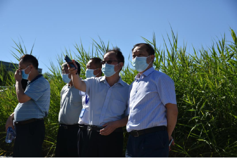 ˮ�������ƶ��½׶�ˮ����������չ�����а���Τ�¹ٷ���վ�����η�չʾ������