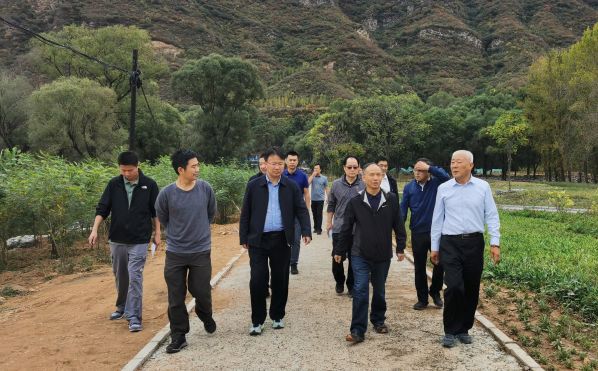 公司重要辅导到韦德官方网站山峡段查抄工作