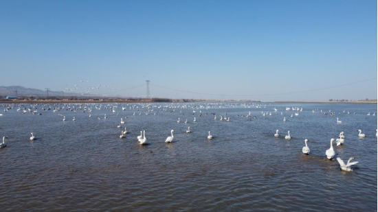 ��ǧֻ���ն�����Τ�¹ٷ���վ���ζ�����ˮ��