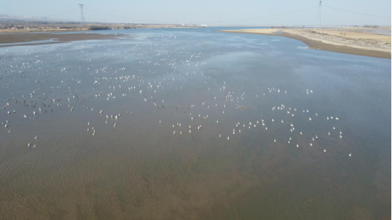 ��ǧֻ���ն�����Τ�¹ٷ���վ���ζ�����ˮ��