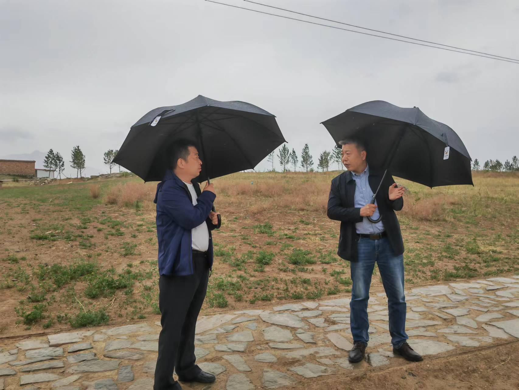 ��˾���������ط�չʾ���Թ��̵���