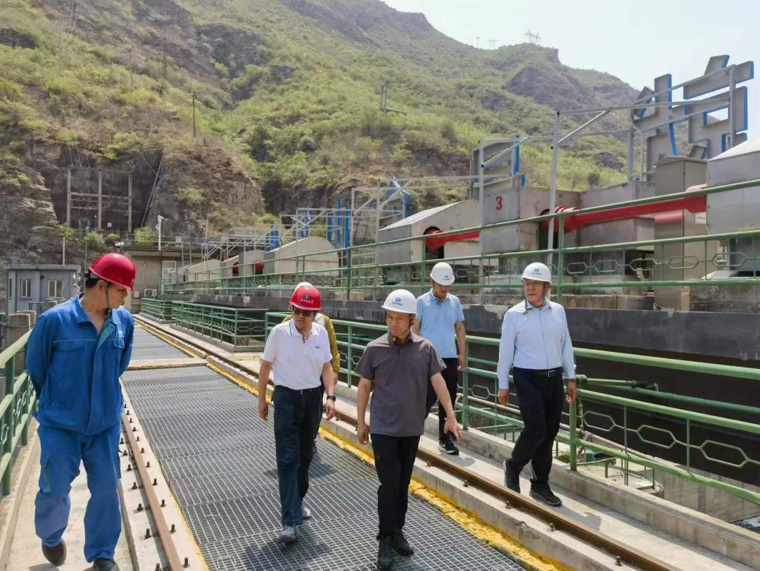 ��˾��Ҫ������������Ӫ��˾�鳭���º�ɫԤ��������ʩ��ʵ���