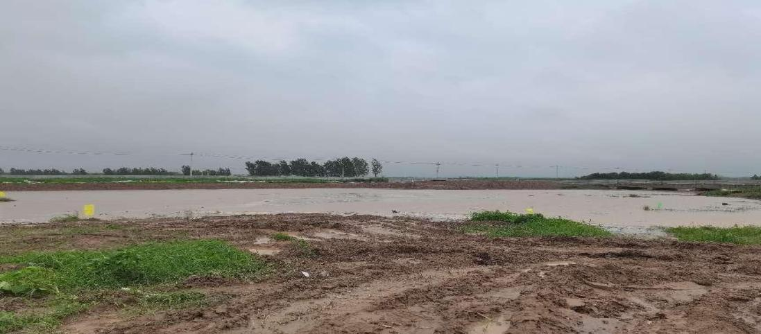 防汛一线 | 天津分公司拆建围埝1900余米 疏洪抢险如饥似渴