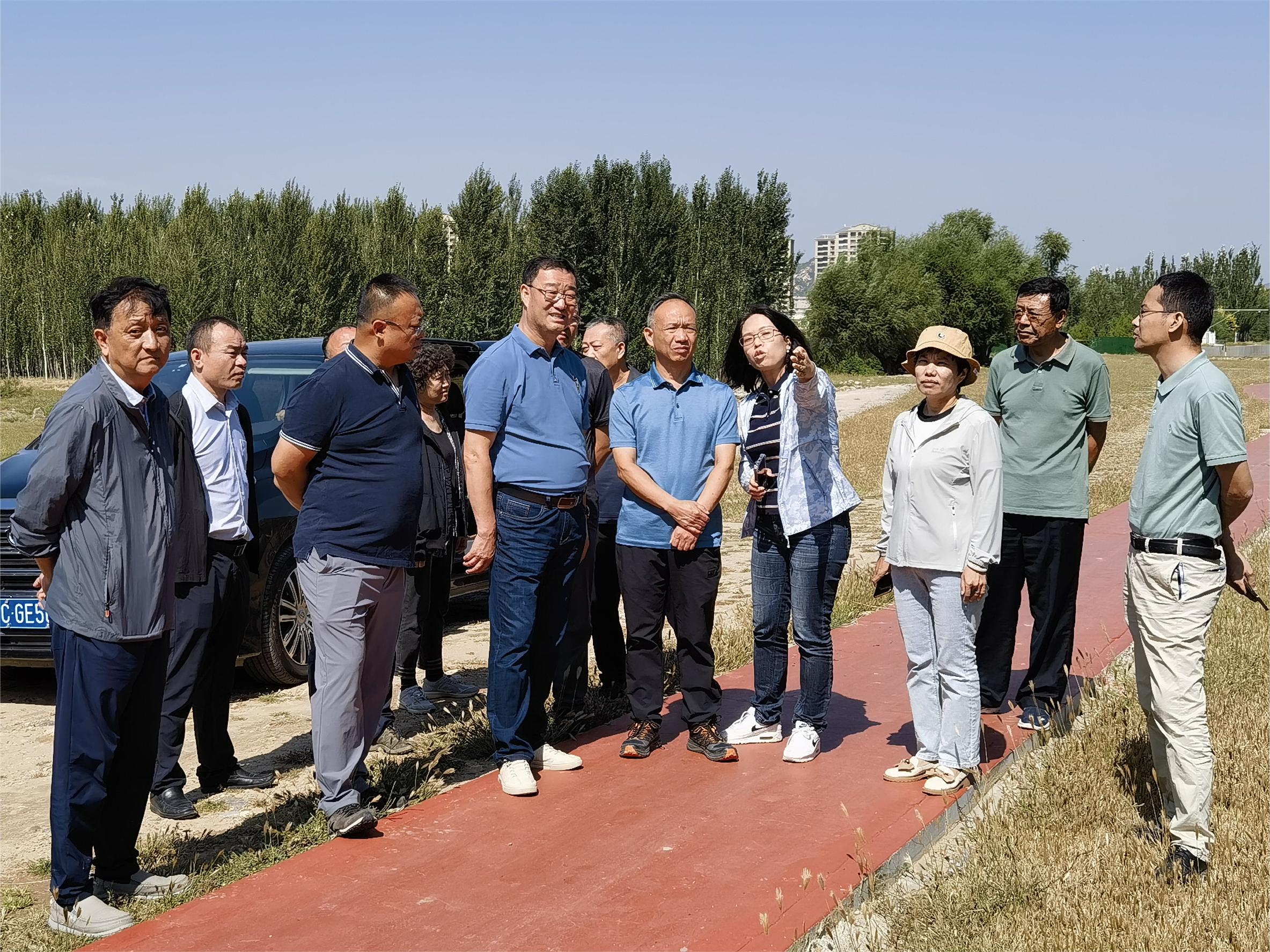 公司重要辅导发展沉点项目现场调研