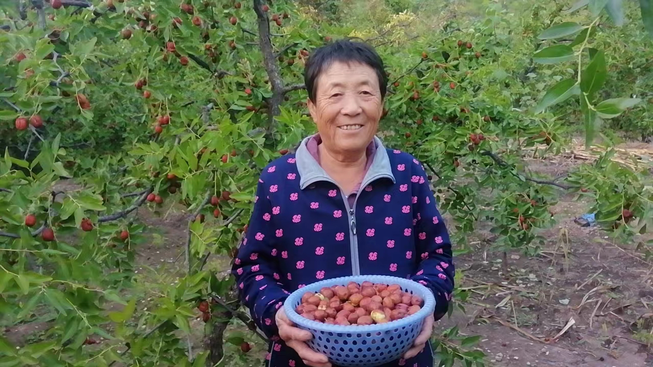 “韦德官方网站流域公司村落振兴工作队助我们找到了鲜枣销路”