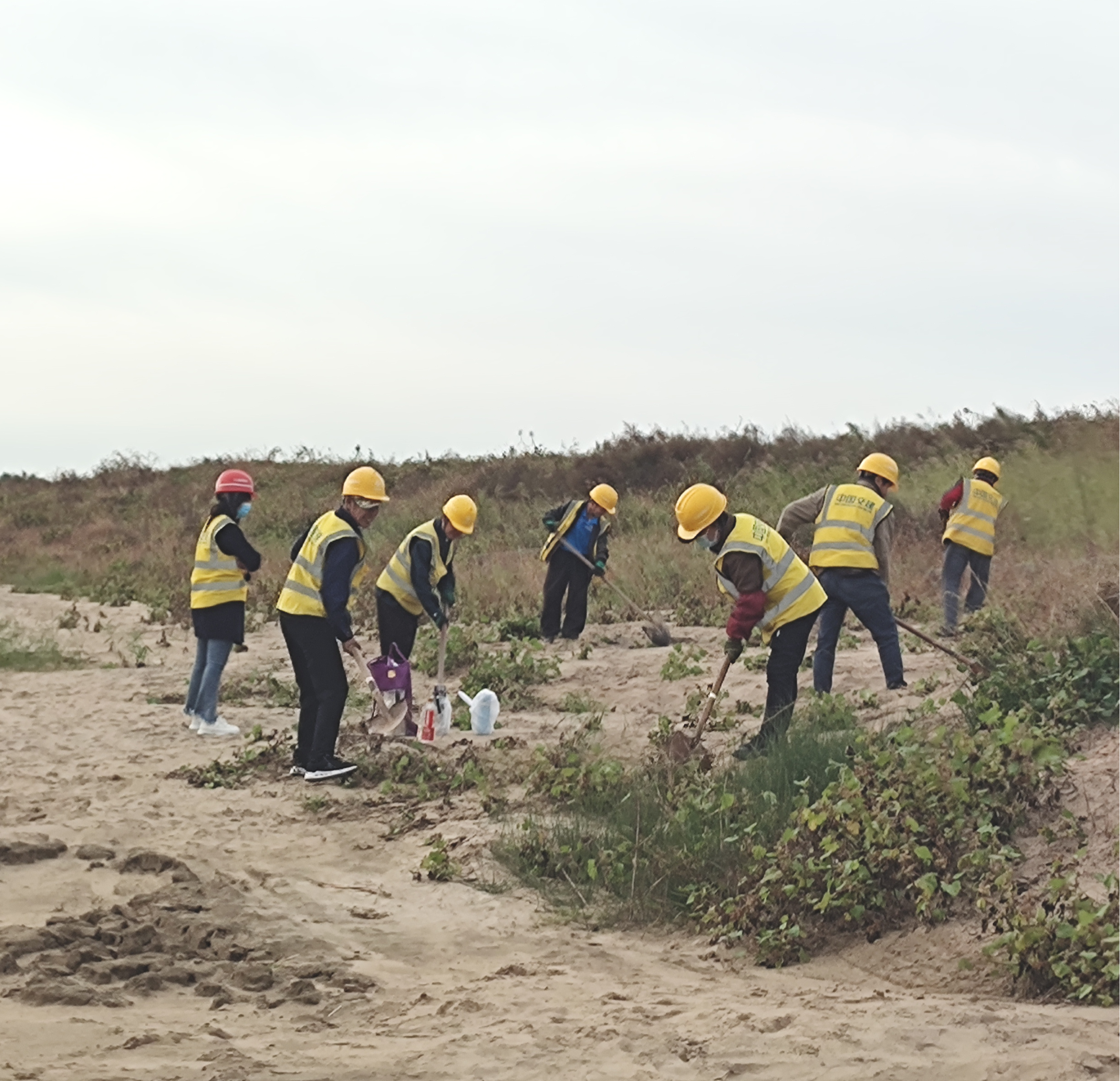 劳动者的身影，筑成假期里的景致线