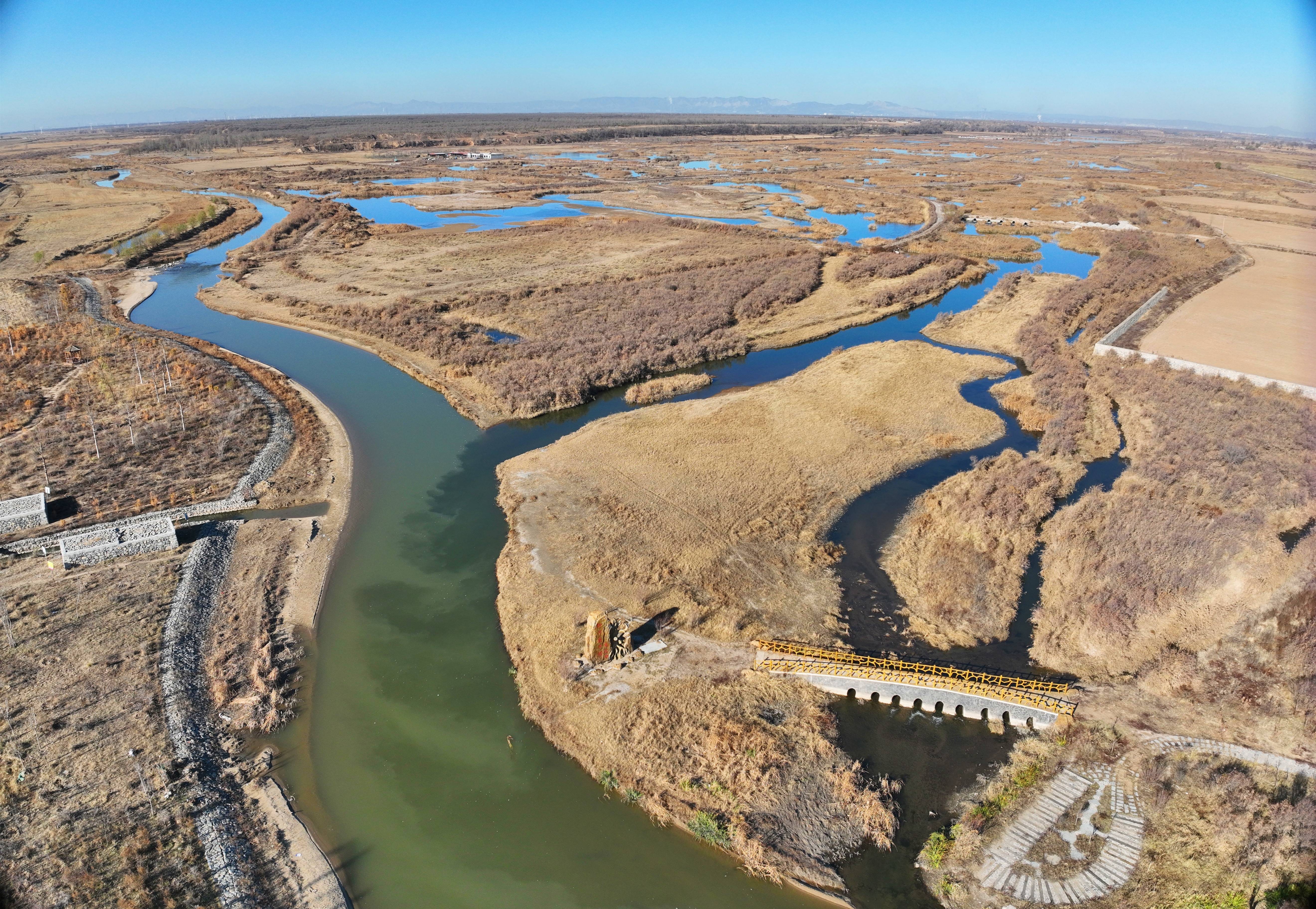 ɣ������  �����빲