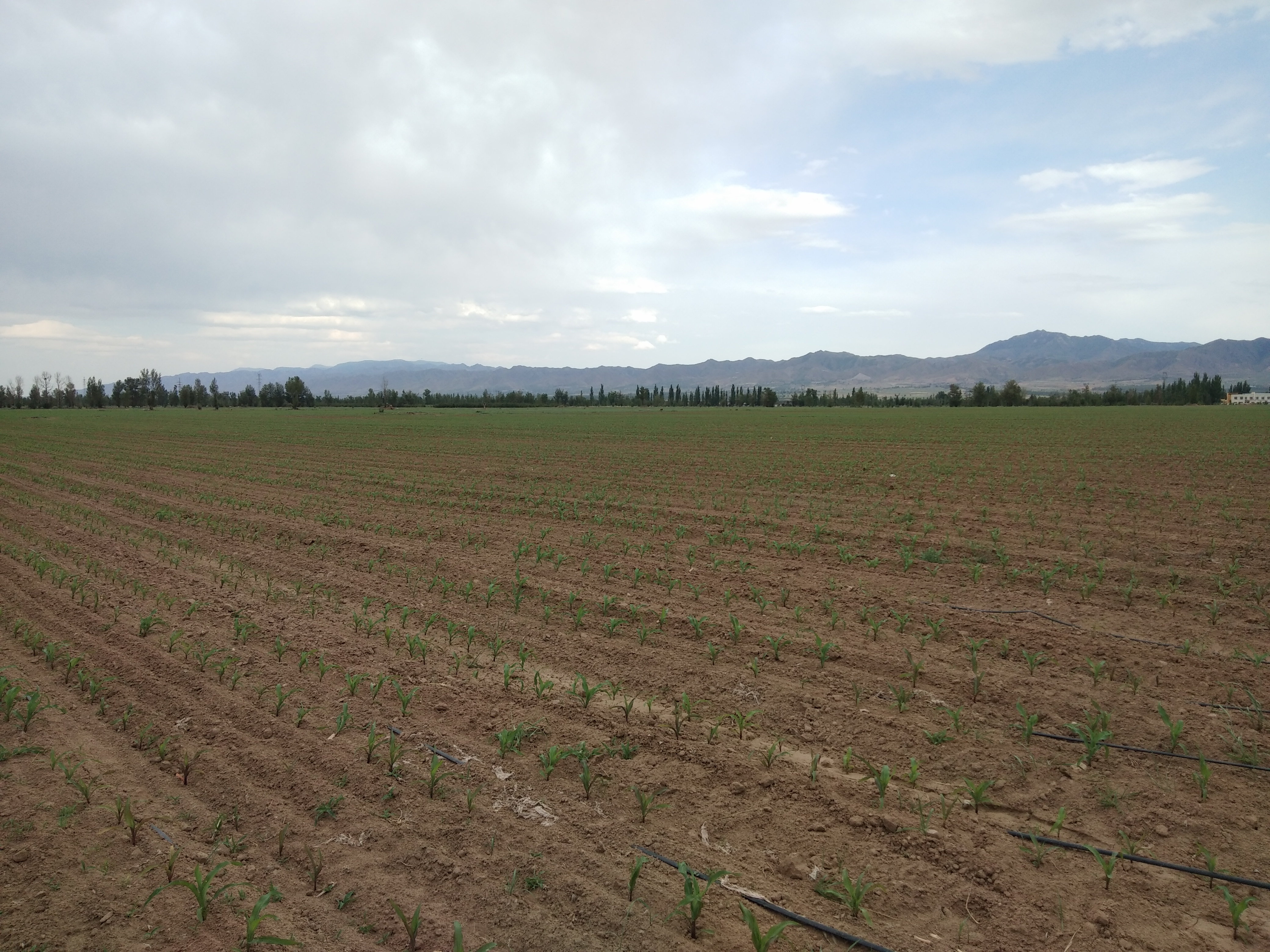 ����ˮ�� �й�ˮ�� | Τ�¹ٷ���վ����ˮ���Ρ�����չ��������