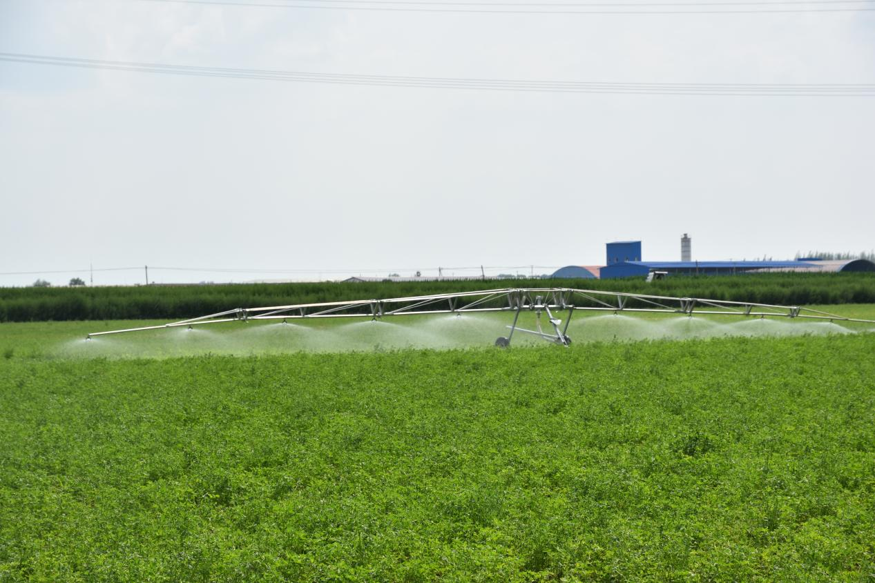 ����ˮ�� �й�ˮ�� | Τ�¹ٷ���վ����ˮ���Ρ�����չ�����壩