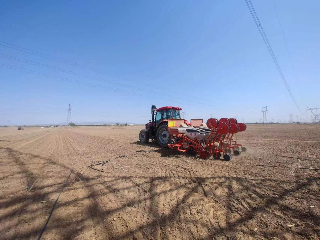 �������һ�� �����÷ܶ�ڹ���Ͷ�֮��